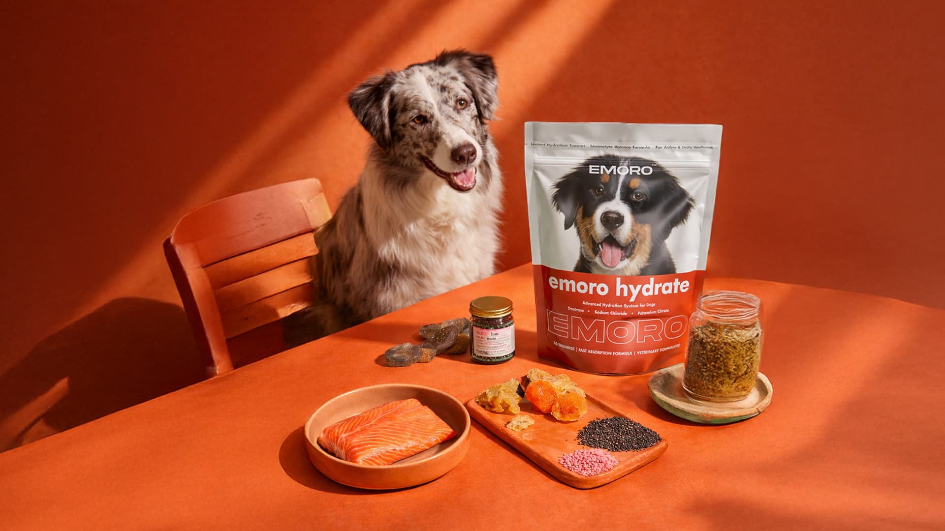 Dog Product